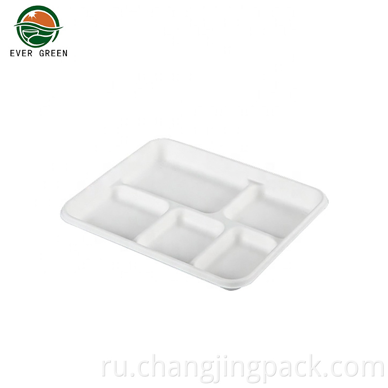 disposable food lunch box